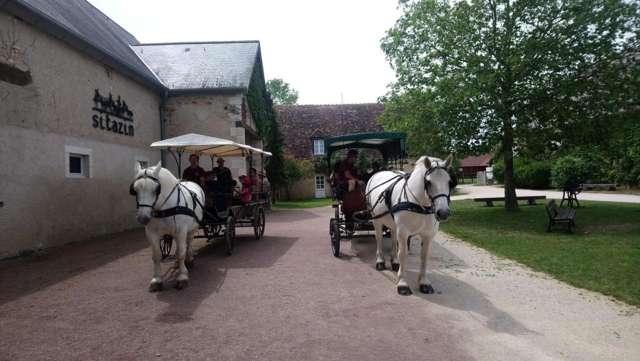 Le Village De Cottages - Le Pole Du Cheval Et De L'Ane Lignières エクステリア 写真