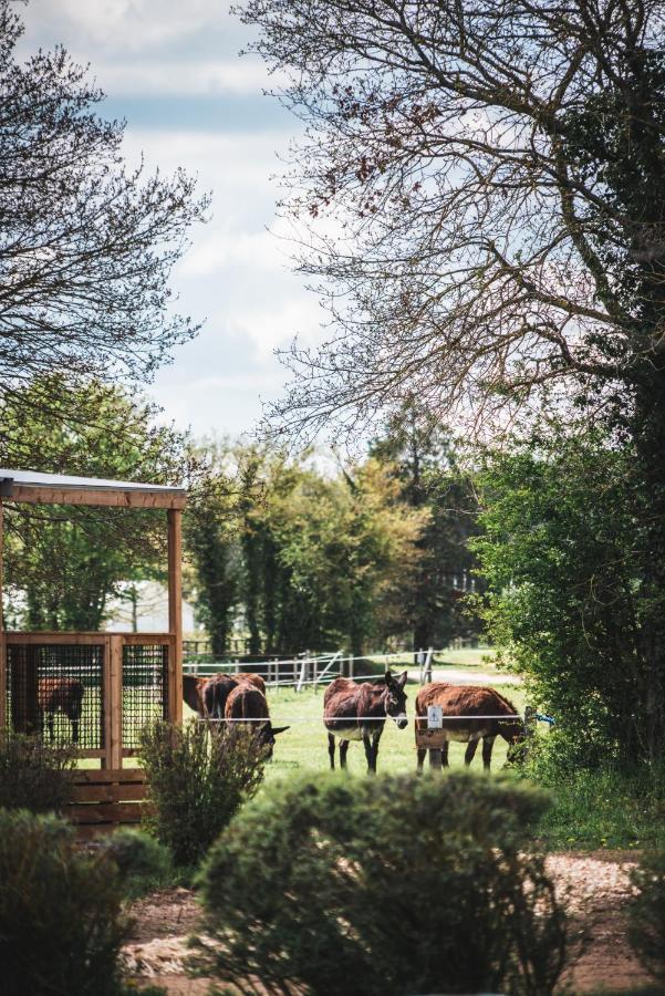 Le Village De Cottages - Le Pole Du Cheval Et De L'Ane Lignières エクステリア 写真